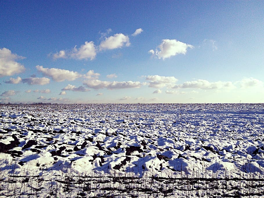 winter, field, snow, sky, clouds, water, cloud - sky, beauty in nature HD wallpaper