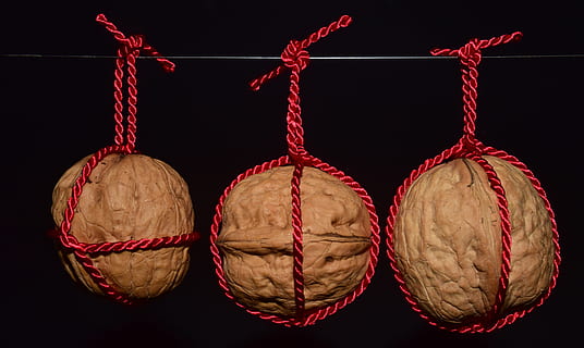 three brown seeds, nuts, walnuts, fruit bowl, eat, food, shell HD wallpaper