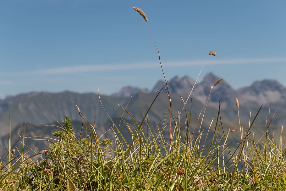 Mountains, Recovery, Distant, sky, blue, rest, relaxation, flying HD wallpaper