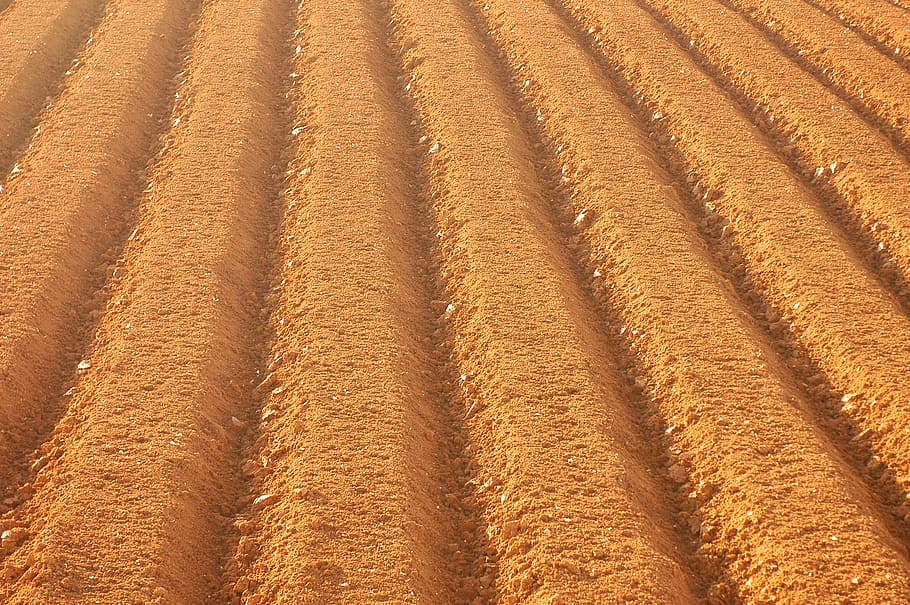soil, farming, field, sulcus, backgrounds, full frame, pattern HD wallpaper