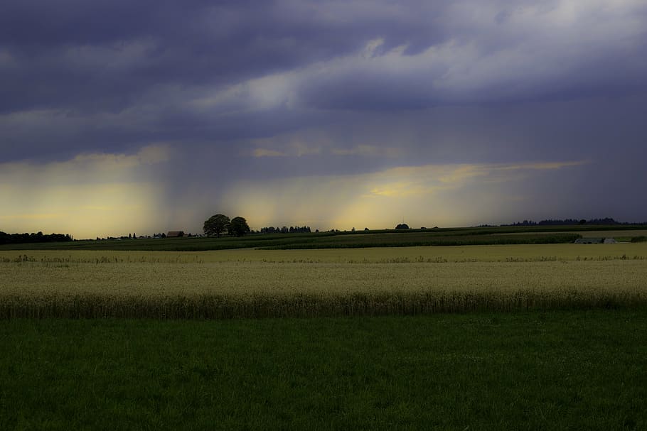 rain, clouds, cloudburst, thunderstorm, summer rain, sunset HD wallpaper