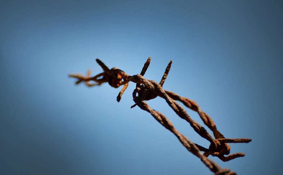 rust, wire, steel, iron, metal, sharp, metallic, sky, blue HD wallpaper