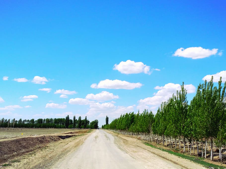 afternoon, lane, blue sky, clouds, the way forward, direction HD wallpaper