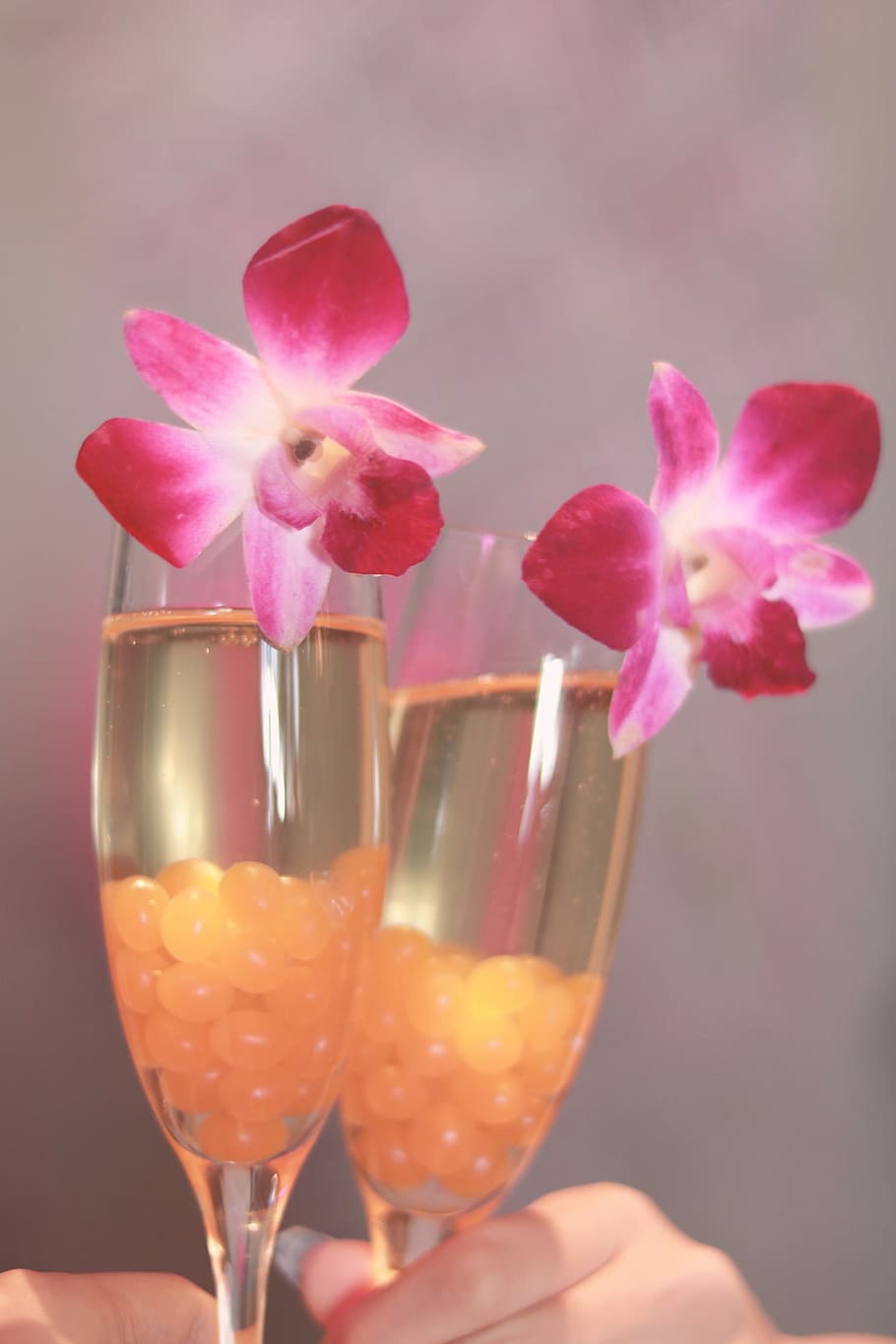 two cocktail glasses with pink flower, pink Color, celebration HD wallpaper