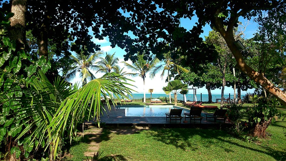 landscape, green, trees, beach, safe harbor, brazil, bahia HD wallpaper