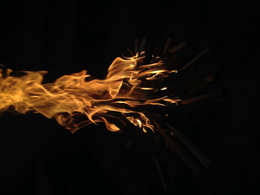Campfire, lighted firewood, flames, logs, dark, black background HD wallpaper