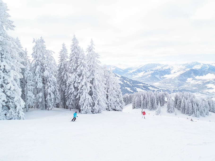 two person skiing on snow with trees during daytime, photo of two children playing on snow field HD wallpaper