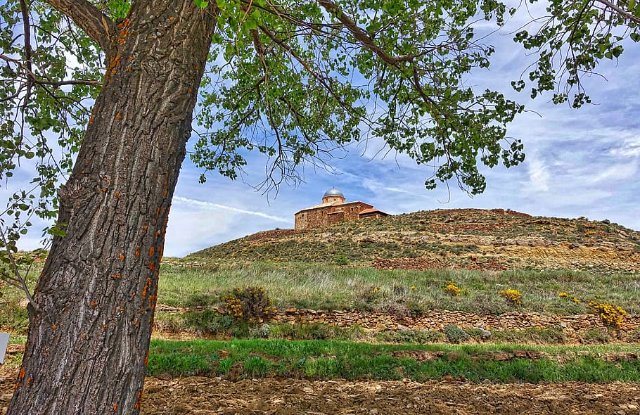 Fortress, Fortification, Stone, architecture, building, tree HD wallpaper