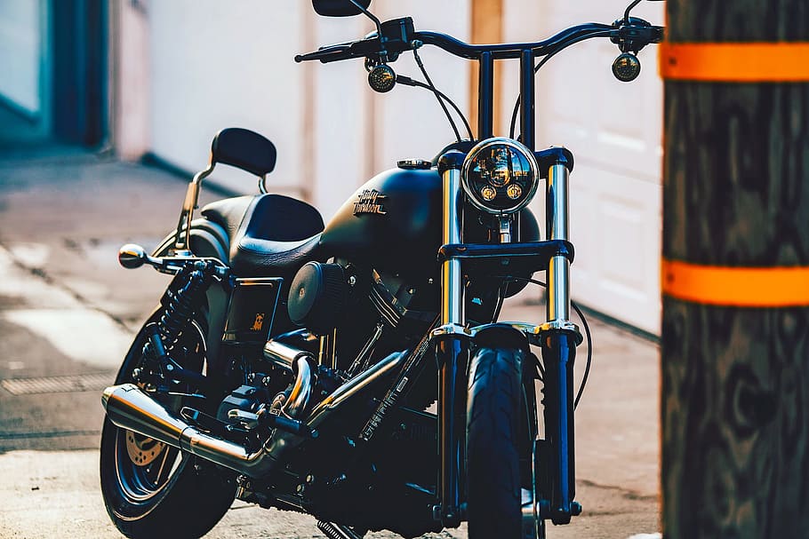 person taking photo of black Harley-Davidson cruiser motorcycle, HD wallpaper