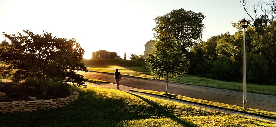 people, man, walking, alone, sunlight, sunny, sunrise, sunset HD wallpaper
