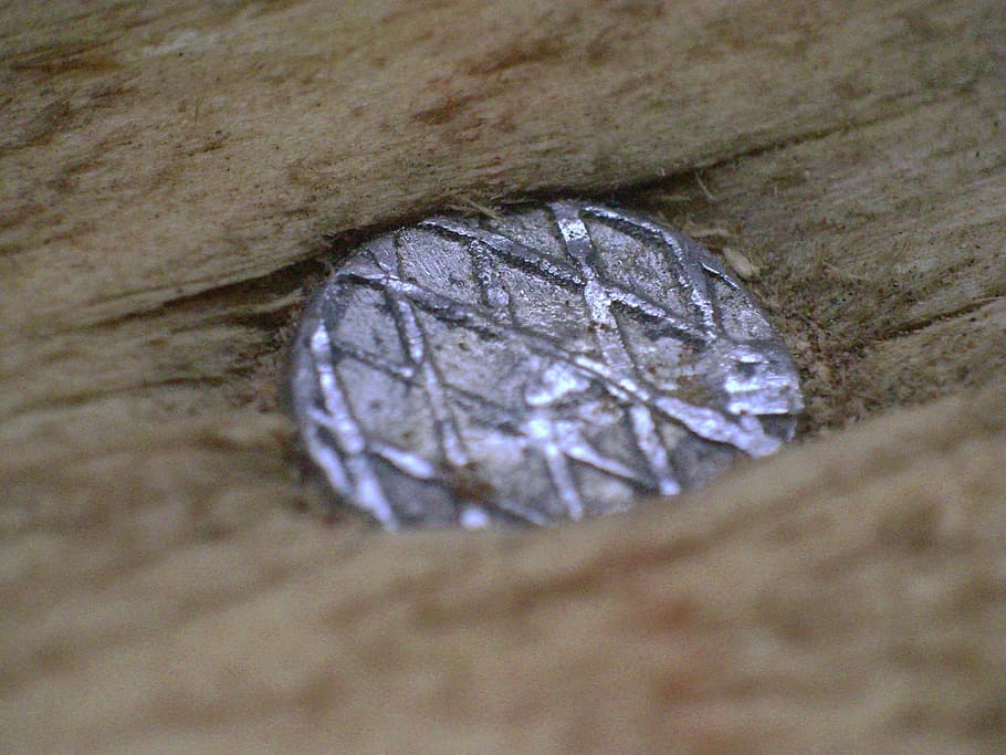 nail, macro, metal, close-up, selective focus, no people, plant part HD wallpaper