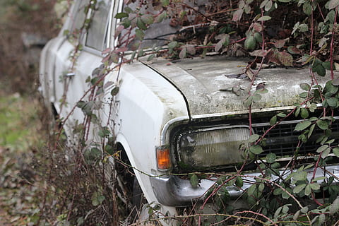 Car Wreck, Oldtimer, Body, Overgrown, environment, ivy, waste HD wallpaper