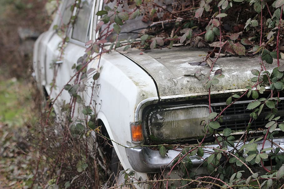 Car Wreck, Oldtimer, Body, Overgrown, environment, ivy, waste HD wallpaper