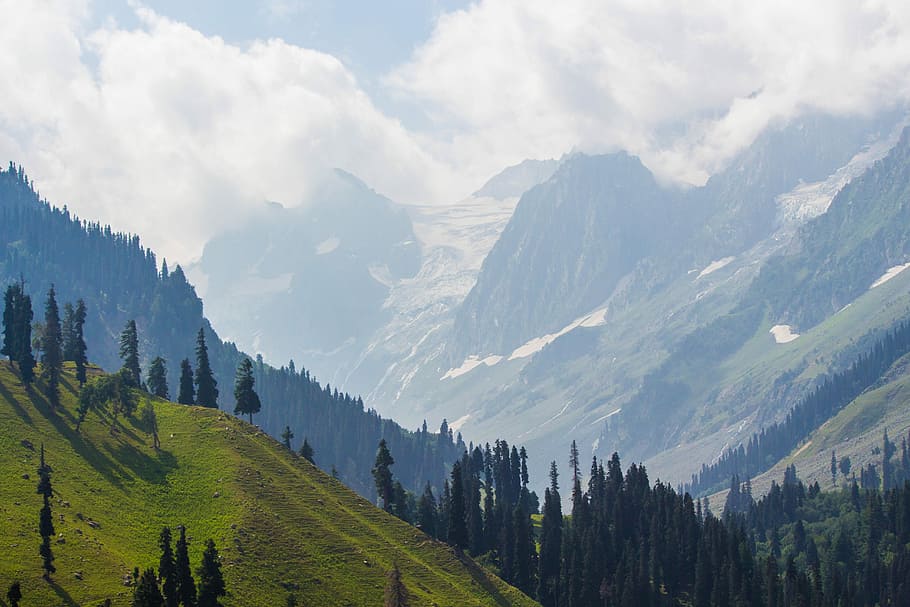green mountain with trees under cloudy sky during daytime, landscape photography of rolling hills HD wallpaper