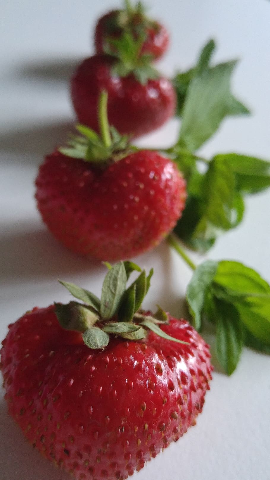 strawberries, fruit, red, organic, food and drink, berry fruit HD wallpaper