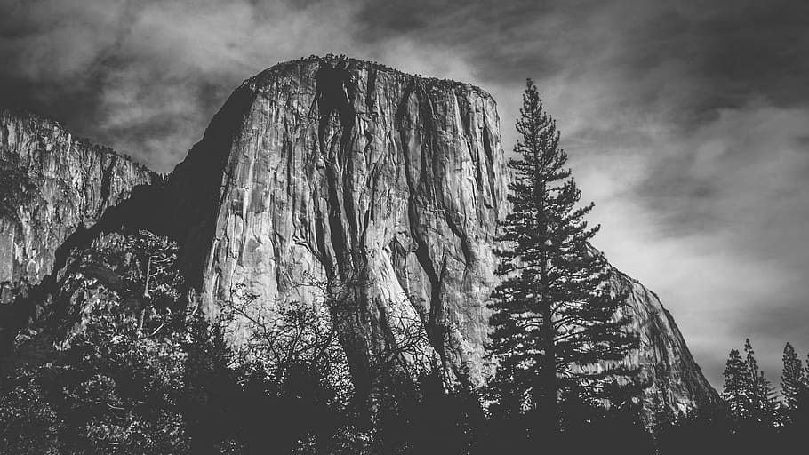 mountain surrounded by trees grayscale photography, grayscale photography El Capitan, Yosimite HD wallpaper