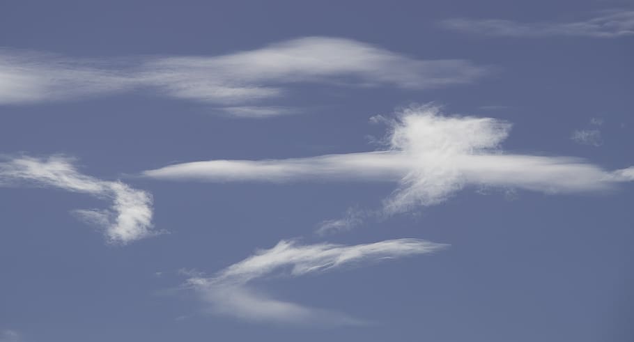 clouds, white, blue, fluffy, delicate, pattern, sky, cloud - sky HD wallpaper