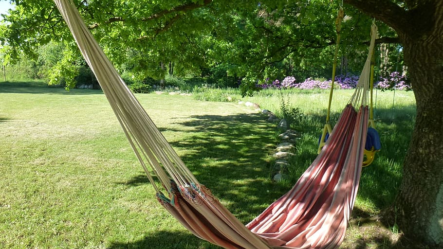 pink and white hammock, garden, relax, plant, grass, tree, growth HD wallpaper