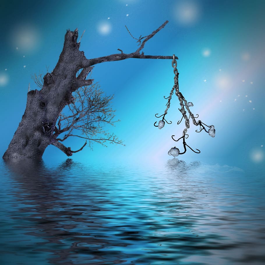 gray tree with hooks illustration, fantasy, water, skull, fishhook HD wallpaper