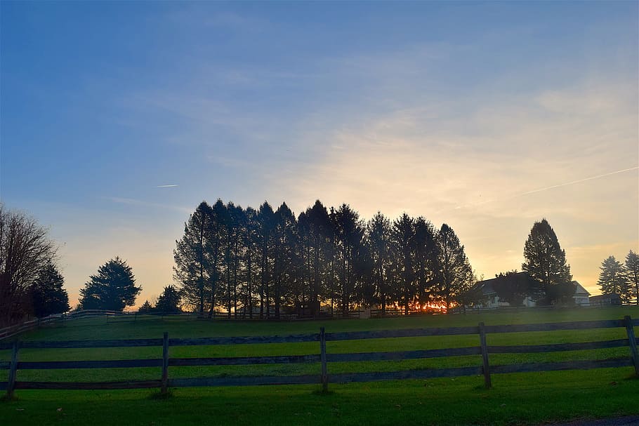 sunset, trees, silhouette, sky, landscape, pine tree, light HD wallpaper