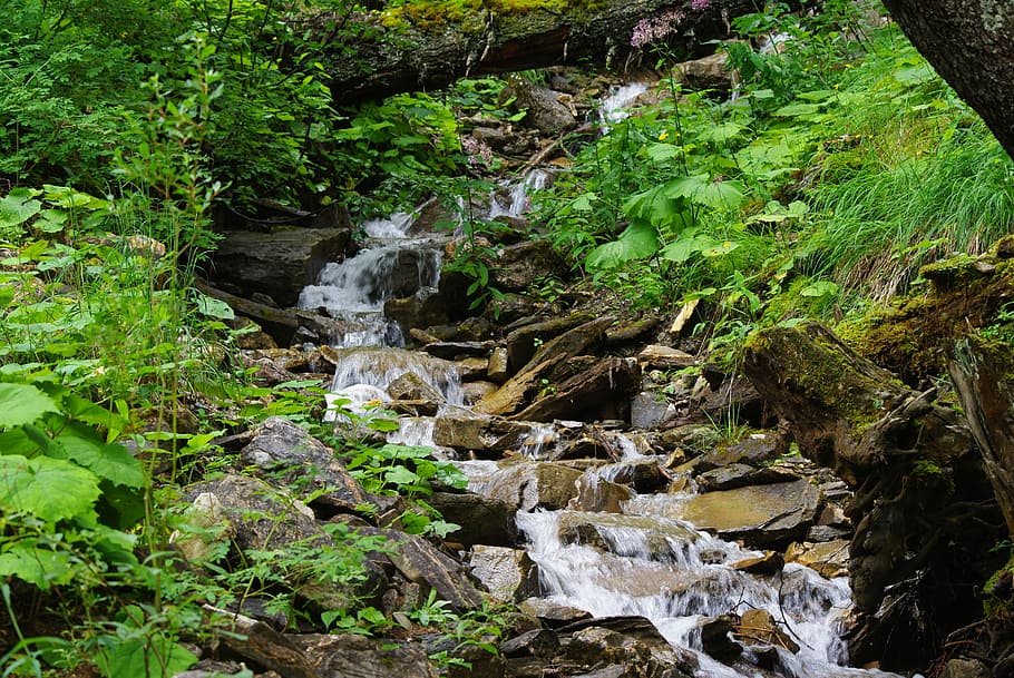 Mountain Stream, River, brook, switzerland, flowing, outdoors, HD wallpaper