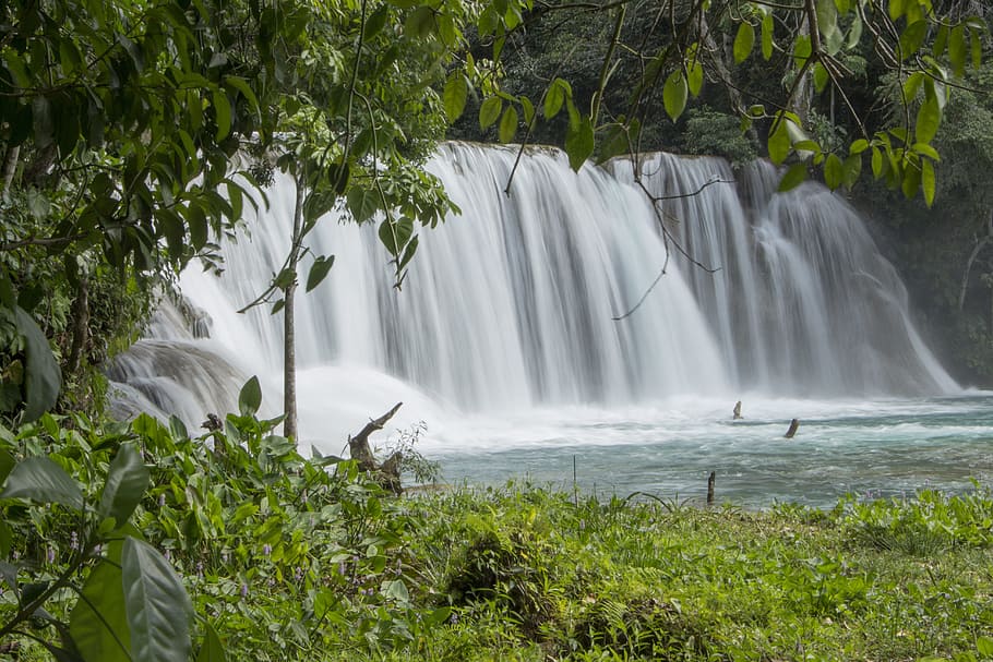 waterfalls, river, current, nature, chiapas-mexico, plant, beauty in nature HD wallpaper