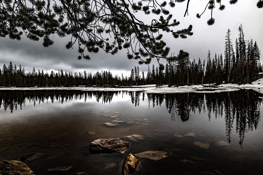 mountains, lake, spring, landscape, water, tree, reflection HD wallpaper