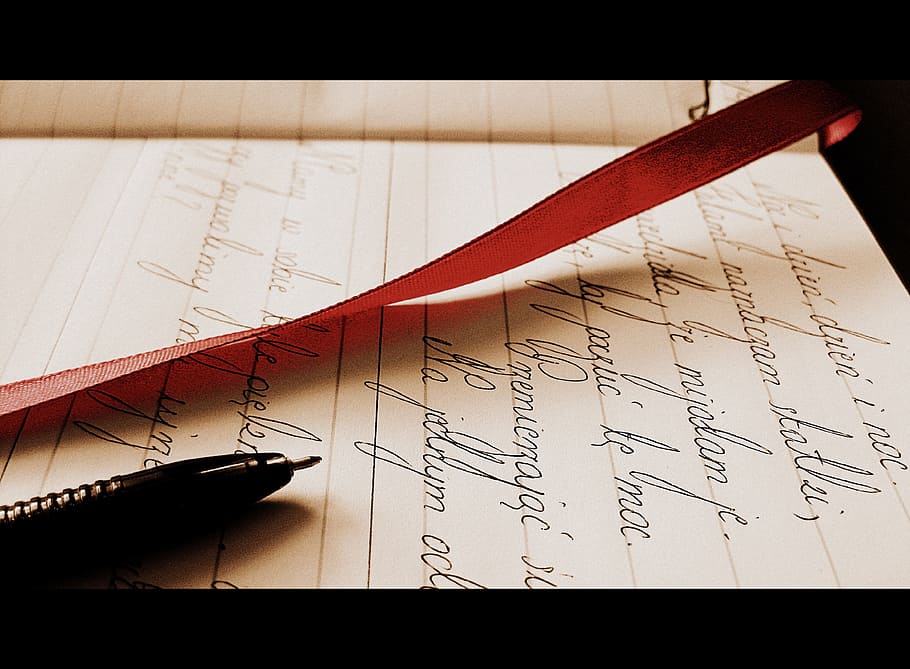 white line paper, pen, sheet, school, note, book, education HD wallpaper