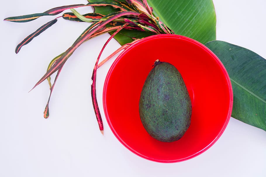 green fruit on red plate, avocado on red plastic bowl, leaf, foliage HD wallpaper