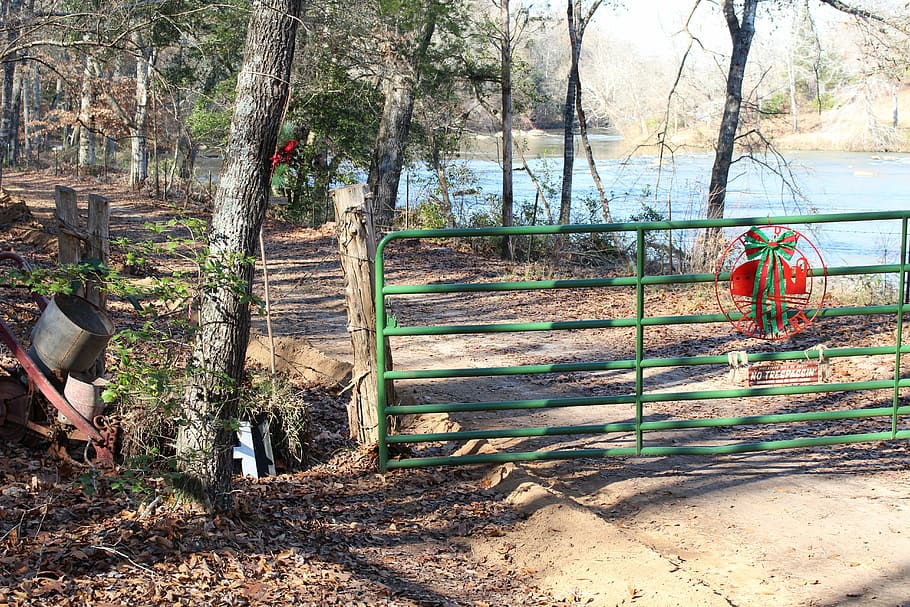 fall, autumn, river, nature, trail, gate, wood, outdoor, serene HD wallpaper