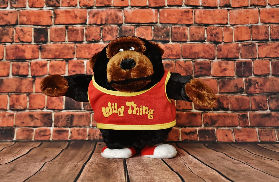 Soft Toy, Gorilla, funny, wildthing, teddy bear, monkey, stuffed animal HD wallpaper