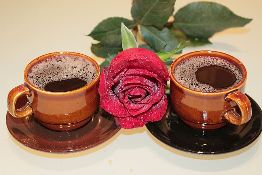 rose, coffee, cups, foam, drink, food and drink, freshness HD wallpaper