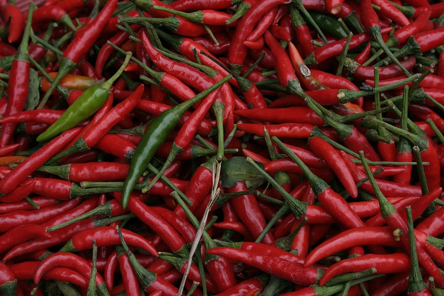 chilli, pods, market, sharp, chilli peppers, spice, red, abundance HD wallpaper