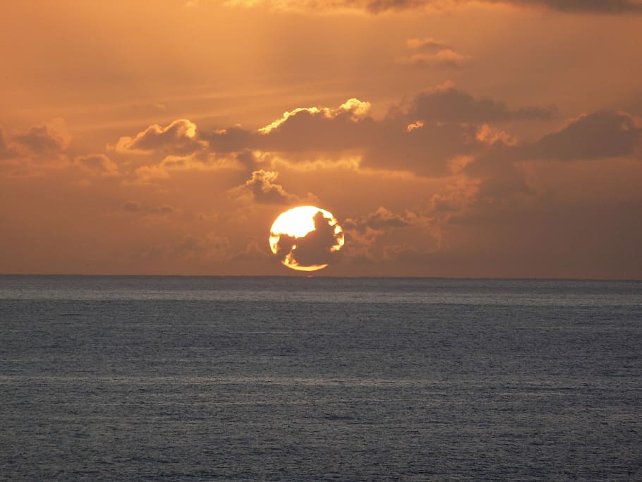 Madeira, Fish, Eat, sunset, sea, nature, beauty in nature, horizon over water HD wallpaper