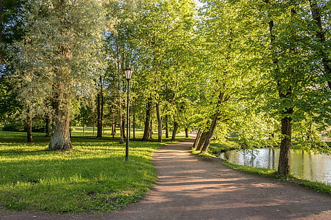 Gatchina, Stroll, park, handsomely, evening, heat, summer, russia HD wallpaper