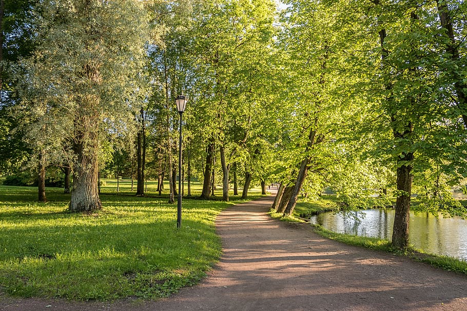 Gatchina, Stroll, park, handsomely, evening, heat, summer, russia HD wallpaper