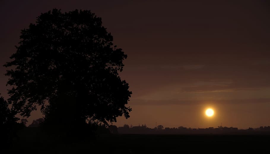 tree, sunset, cloudy, storm, rain, dark, the silhouette, sky HD wallpaper