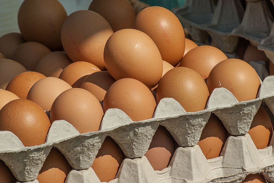 closeup photo of organic eggs, market, hens, food, animal Egg