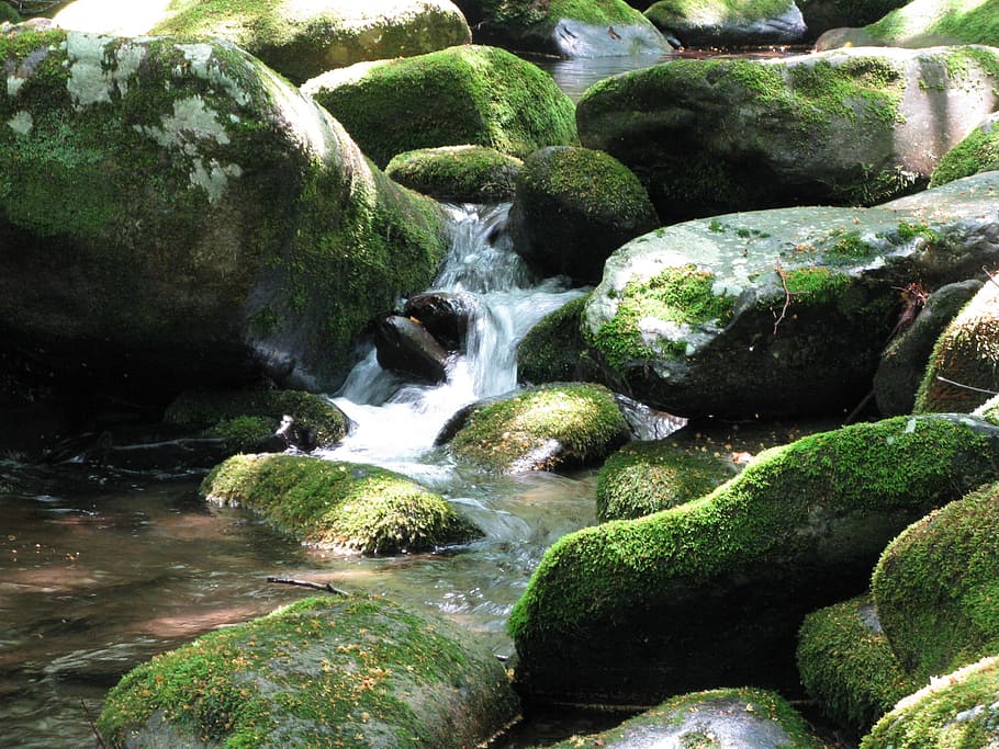 timelapse photography of flowing stream, rocks, moss, water, nature, HD wallpaper