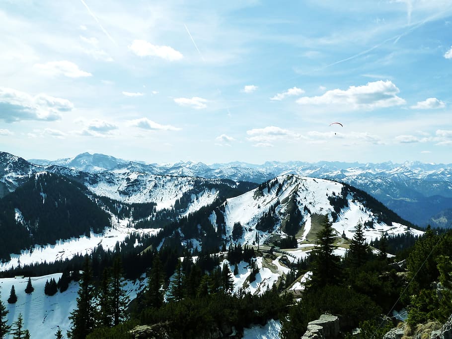 Spring, Tree, Forest, Mountain, great, mountains, snow, sun HD wallpaper