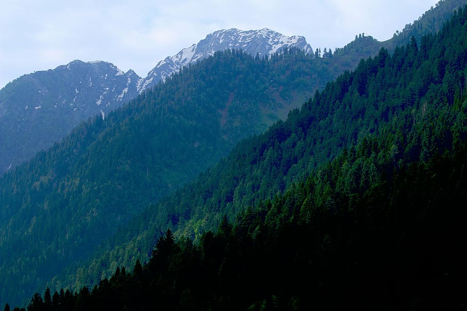 green mountain, nature, mountains, trees, snow, alps, forest HD wallpaper