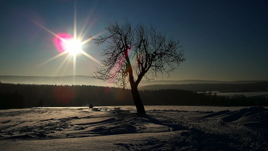 ore mountains, winter, tree, sky, landscape, tranquil scene HD wallpaper