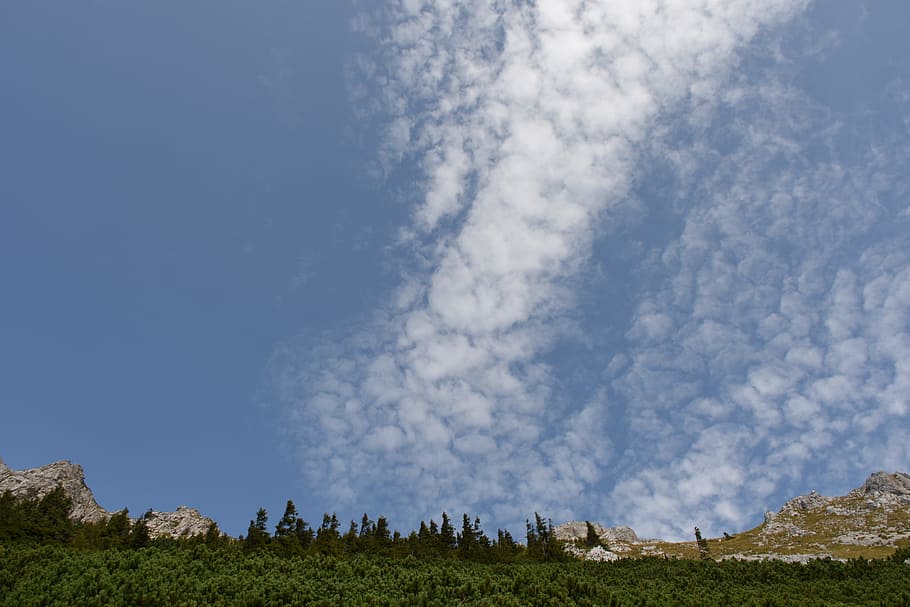 schäfche clouds, mountains, forest, dom, sky, cloud - sky HD wallpaper