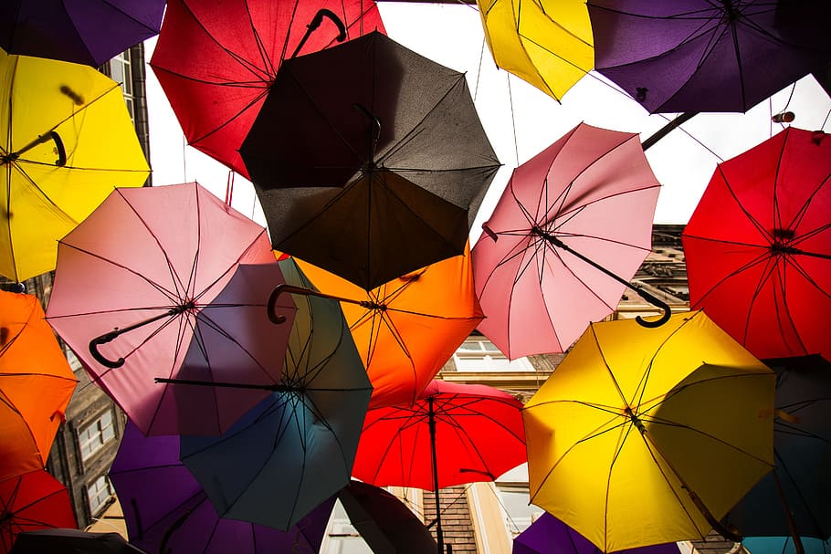 photography of assorted-color umbrellas, street, avenue, beautiful, HD wallpaper