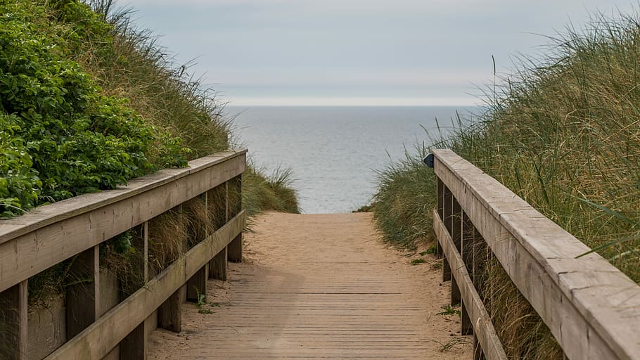 brown wooden bridge, beach, away, dunes, sylt, island, north sea HD wallpaper