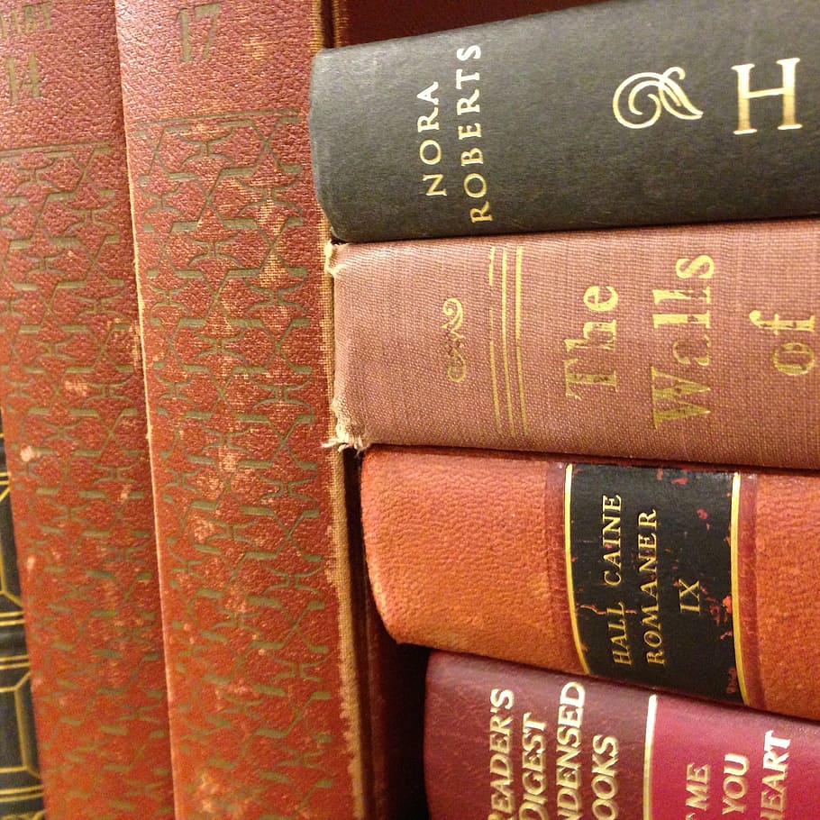 book, wisdom, library, education, school, literature, knowledge HD wallpaper