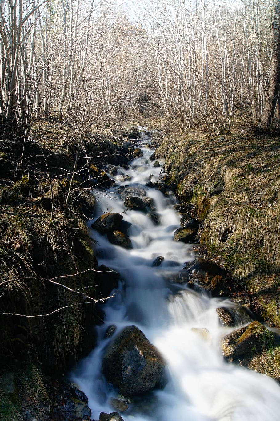 torrent, mountain, water, nature, landscape, rocks, cascade HD wallpaper