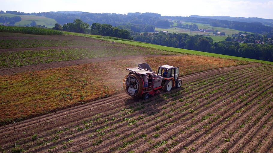 Aerial View, Agriculture, potatoes listening, ferlens, switzerland, HD wallpaper