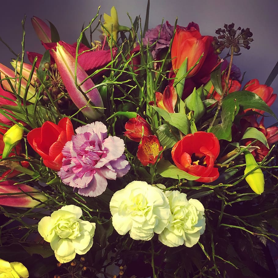 flowers, bouquet, composition, flora, flowering plant, beauty in nature HD wallpaper