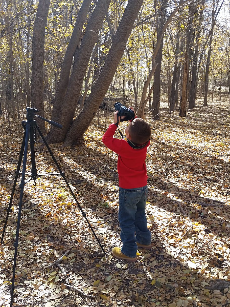 photography, boy, learn, camera, tripod, trees, light, real people HD wallpaper